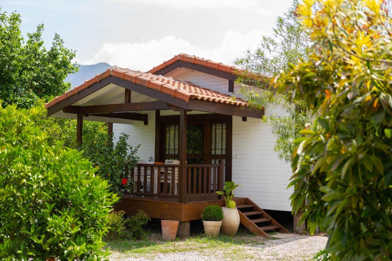 Kimera - Akdeniz Bahcesi Apart Hotel Çıralı Exterior foto